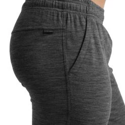 Icebreaker Men's Shifter Pants