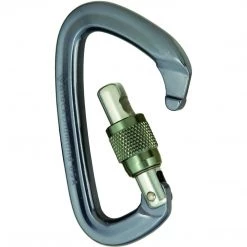 Climb Black Diamond Positron Screwgate Carabiner