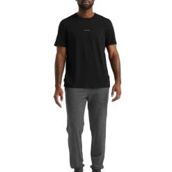 Icebreaker Men's Central SS Tee