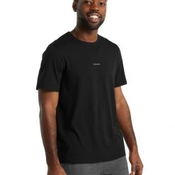 Icebreaker Men's Central SS Tee