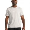 Icebreaker Men's Central SS Tee