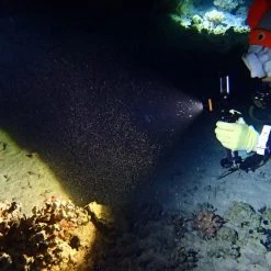 Fenix SD11 1000 Lumen Dive Torch Camp / Tramp