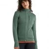 Icebreaker Women's Quantum III LS Zip Hoodie Clothing