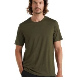 Clothing Icebreaker Men's Tech Lite II SS Tee