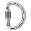 Climb Petzl Omni Screw Lock Carabiner
