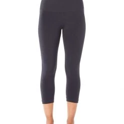 Clothing Icebreaker Women's Motion Seamless 3Q Tights