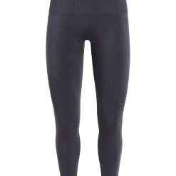 Icebreaker Women's Motion Seamless High Rise Tights