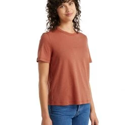 Clothing Icebreaker Central SS Tee