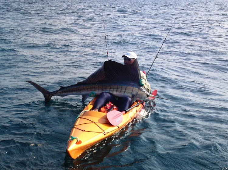 Mission Kayaking Hunt / Fish / Watersports Mission Kayaks, Catch 420 - Boat Only