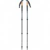 Black Diamond Alpine Carbon WR Trekking Poles - Pair Walking Poles