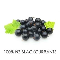 Pure Blackcurrant Recovery, 200g