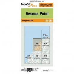 Land Information Nz NZ Topo 50 Map BZ09 Awarua Point