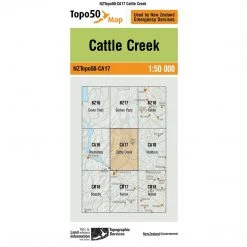 Land Information Nz NZ Topo 50 Map CA17 Cattle Creek