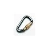Fixe Carabiner Rock Stone Screw Gate Climb