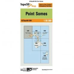 Land Information Nz NZ Topo 50 Map CI01 Point Somes