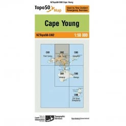 Land Information Nz NZ Topo 50 Map CI02 Cape Young