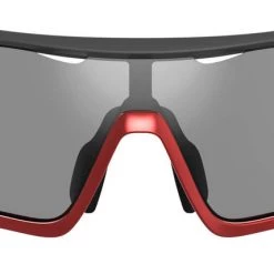 Tifosi Davos Sunglasses