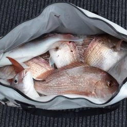 Hutchwilco Kai Cooler Insulated Fish Catch Bag Hunt / Fish / Watersports