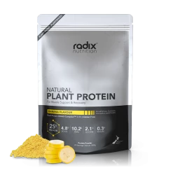 Radix Nutrition Radix Natural Plant Protein Powder, 1kg Food