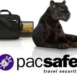 Pacsafe RFIDSleeve 25, Blocking Credit Sleeve X 2