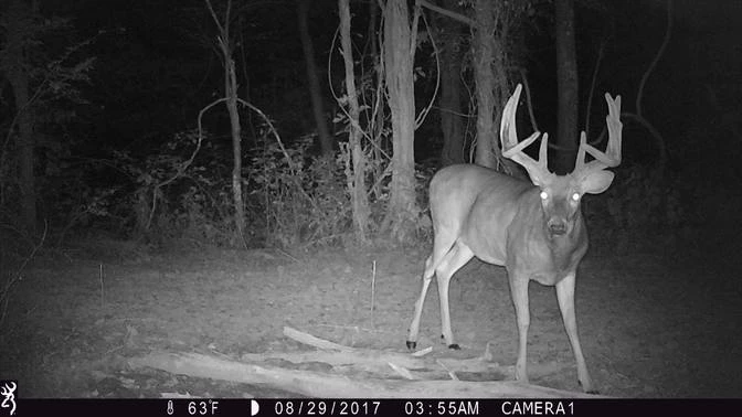 Hunt / Fish / Watersports Browning Trail Camera - Strike Force Apex - BTC-5HD-APX