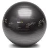 SKLZ Fitness Trainer Swiss Ball, 65cm (with Exercise Images) Health / Fitness